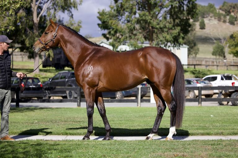 larneuk-stud-Lauda-Sion-099A5388
